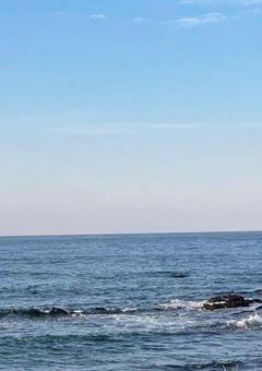 　ちょっと大事なお知らせ　