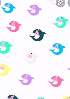 とあるYouTuberの妹ちゃん