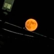 2009さんのアイコン画像