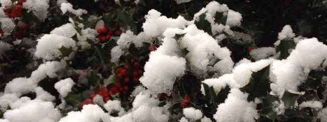 MAIさんの壁紙画像