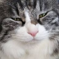 PINKyさんのアイコン画像