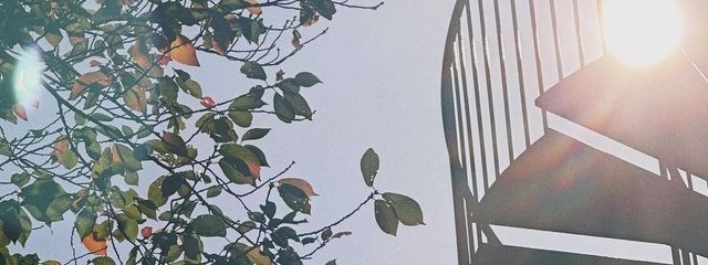 チャン　シウンさんの壁紙画像