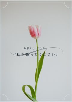お願い、どうか、『私を嫌ってください』