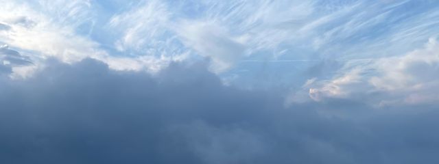 ｻｶﾅ🐟さんの壁紙画像