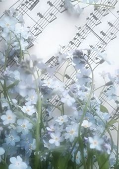 　　♩天満月