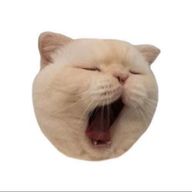 そはさんのアイコン画像