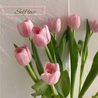 RAMUさんのアイコン画像