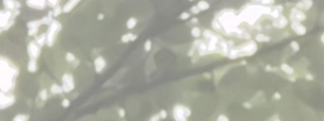 莉奈 𓂃 𓈒𓏸◌さんの壁紙画像