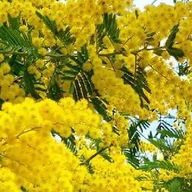 ใใขใถใใใฎใขใคใณใณ็ปๅ