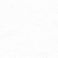 どん兵衛さんのアイコン画像