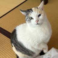 れん。さんのアイコン画像