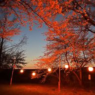 磴豊さんのアイコン画像