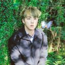 진
