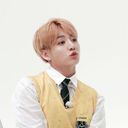 정국