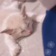 KYOTAさんのアイコン画像