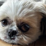 碧苺さんのアイコン画像