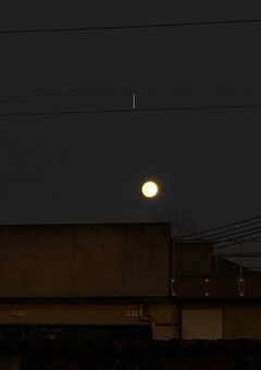 behind the swaying light