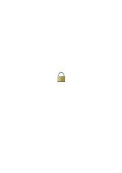 🔒