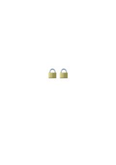 🔒🔒