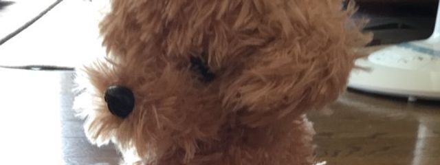 こや子さんの壁紙画像