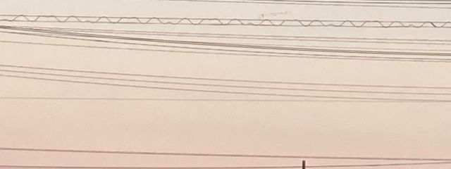 てんさいしぐれちゃん!さんの壁紙画像