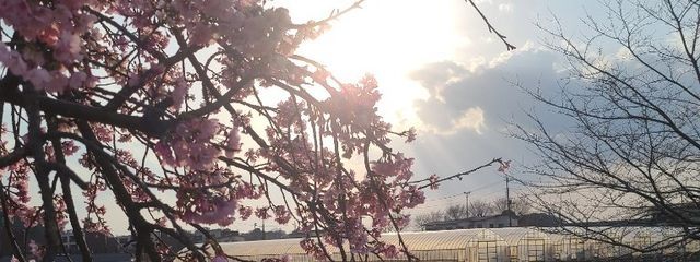 かずみんさんの壁紙画像