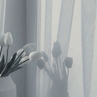 ゆいさんのアイコン画像