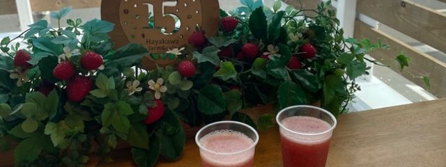 yuri❤️💗ichigoさんの壁紙画像