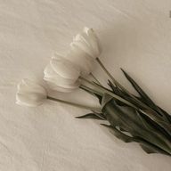 梓 羽 _ 。さんのアイコン画像