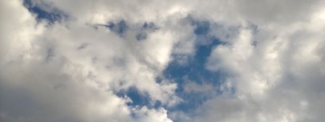 猫庭 七瀬さんの壁紙画像