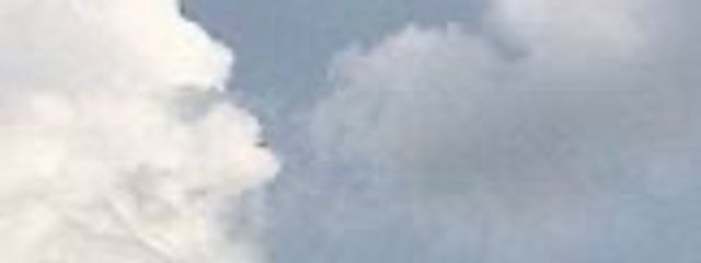 ふみさんの壁紙画像