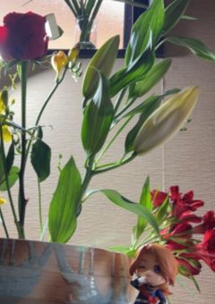 ヘタリアの世界から来たお兄さんに萌え殺される日常