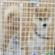らむねさんのアイコン画像