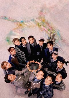 13人が一目惚れした人はたった一人のヌナでした