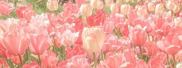 mapi🏹☁️さんの壁紙画像