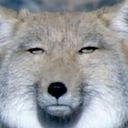 ひっしゃ