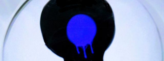 桜猫＠ログアウト中さんの壁紙画像