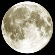 にょ @趣味はマージマンションさんのアイコン画像