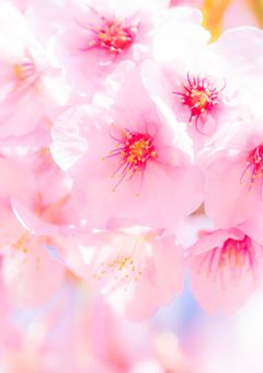 æ¡è»å£ïŒïŒïŒ(ãããããã ã)ðžðª·ð©·ð§¡ð©¶â€ïžð©µð