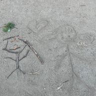 MMさんのアイコン画像
