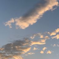 零さんのアイコン画像