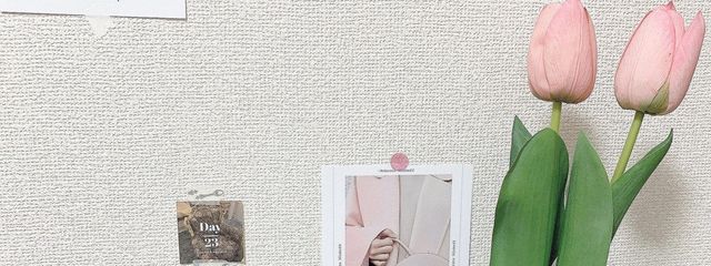 Tさんの壁紙画像