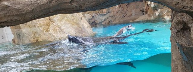 雪さんの壁紙画像