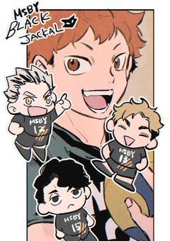 あ、どうも俺ら日向翔陽の兄です