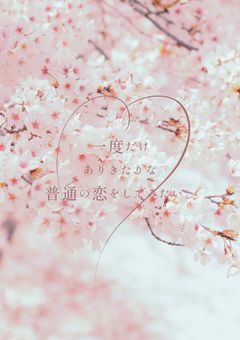 一度だけ、ありきたりな普通の恋をしてみたい。