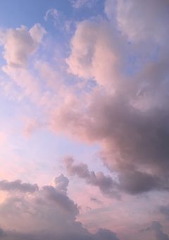 ﾄｸﾍﾞﾂになりたくて(嵐)