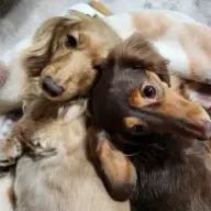 eco  mbsssbさんのアイコン画像