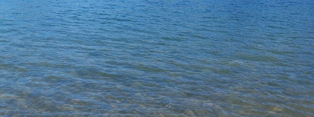 ゆう🌼🌙✨成人済みフォロセ中🍑🍓🍡さんの壁紙画像