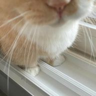 ゆなさんのアイコン画像