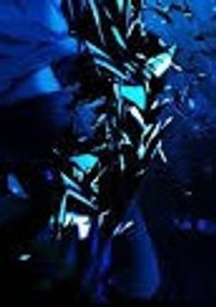 無惨の弟、柱の友達でなんやかんやで雄英護衛します